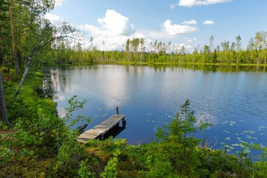 Balıkçılık için ahşap iskele platformu olan orman gölü. Yaz güneşli doğa manzarası. Etrafta ağaçlar ve gölde büyüyen zambaklar.