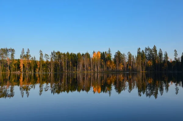 Bosque Reflejándose Superficie Del Agua Del Lago Amplio Panorama Región — Foto de Stock