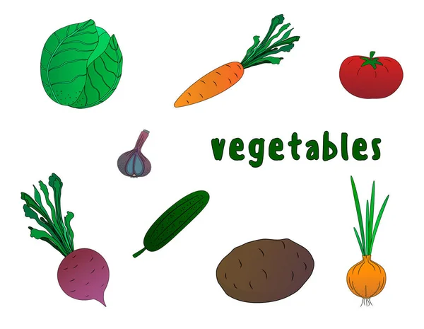 Conjunto de verduras. Estilo simple . — Vector de stock