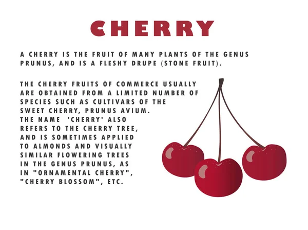 Kiraz illüstrasyon ile metin açıklaması