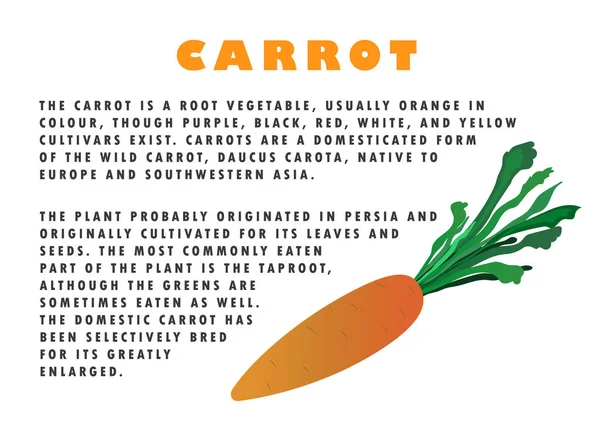 Havuç illüstrasyon ile metin açıklaması