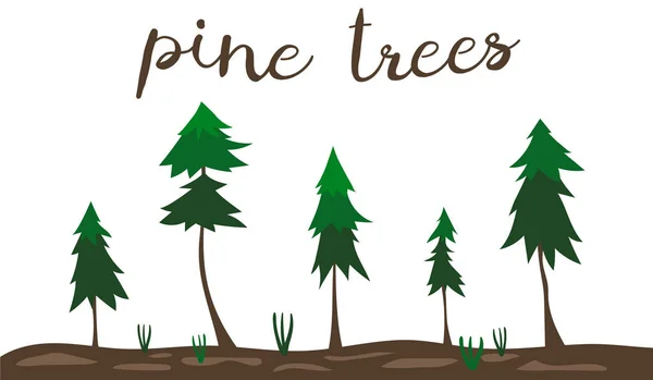 Çam ağaçları. Bir ağaç seti. Çizgi film tarzı. Küçük resim. 