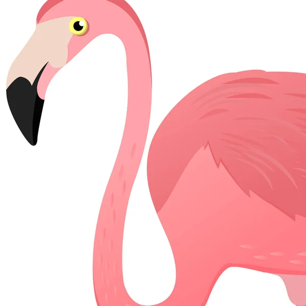 Cabeça de flamingo. Ilustração vetorial. Cartaz com logotipo flamingo. Pássaro exótico trópico bonito. Isolado sobre fundo branco . —  Vetores de Stock