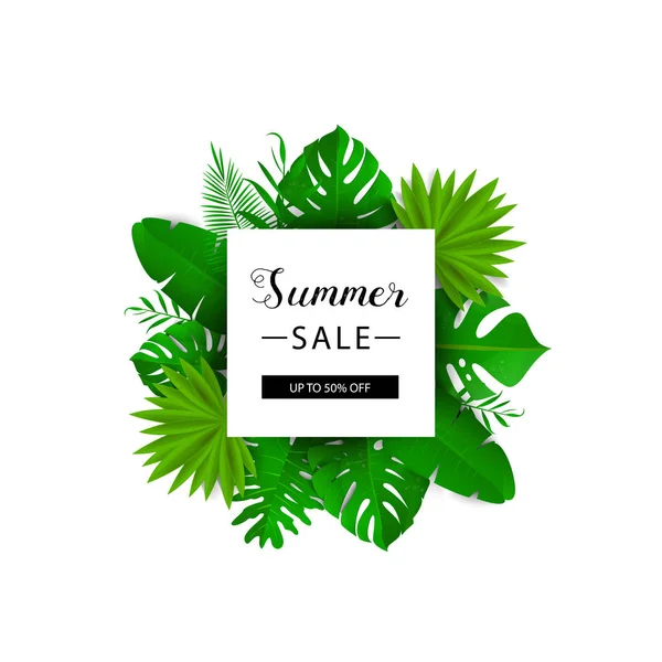 Summer sale. Vector illustration. Summer banner with 3d hawaiian leaf isolated on white background. Floral banner with border. — Stock Vector