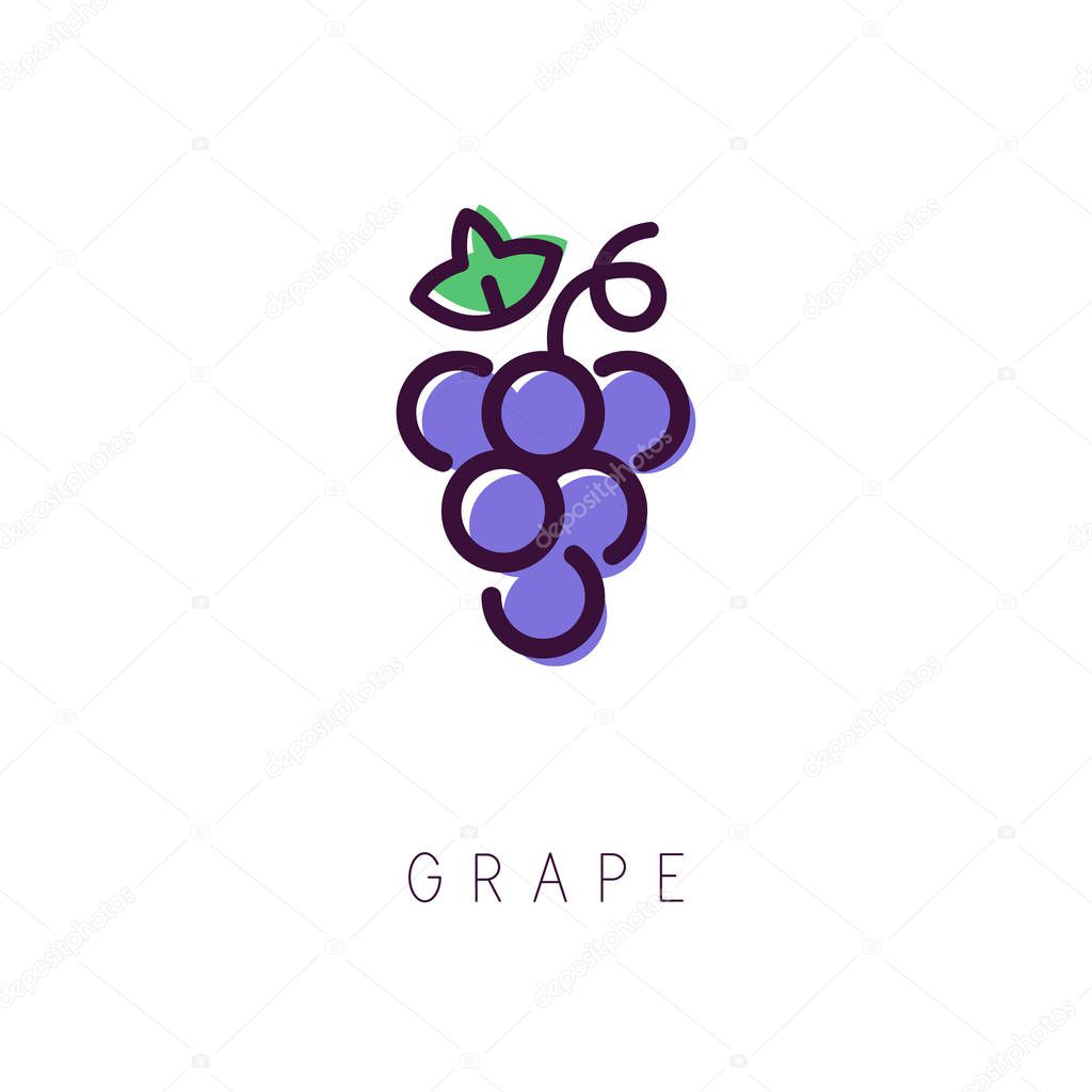Grape logo. Line icon. Simple and clean style. Vector illustration