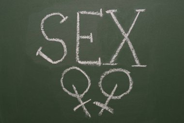 Gündelik giysiler içinde güzel kızların portresi, güneş gözlüğü takıp selfie çekiyorlar, ördek suratları yapıyorlar, stüdyonun mavi arka planında izole edilmiş akıllı telefonları kullanıyorlar.