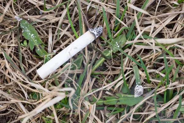 Çimlerin üzerinde sigara Bir orman yangınının tehlikesi