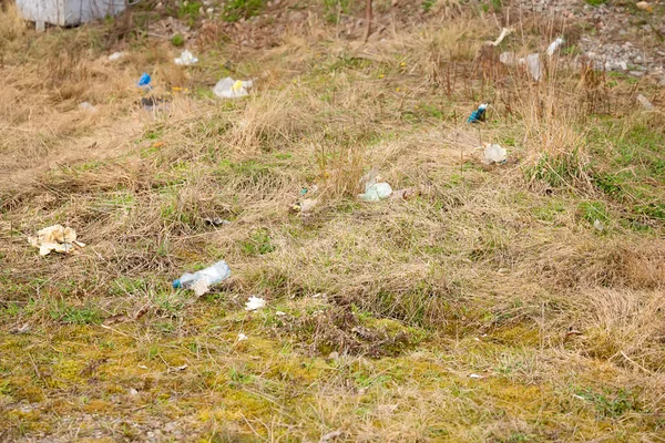 Discarica Rifiuti Sull Erba Vicino Concetto Disastro Ecologico Foresta Inquinante — Foto Stock