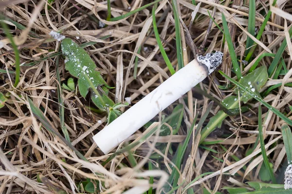 Çimlerin üzerinde sigara Bir orman yangınının tehlikesi