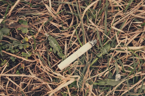 Cigarette Sur Herbe Danger Feu Forêt — Photo