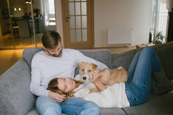 Couple stroking dog on sofa — Stock Photo, Image