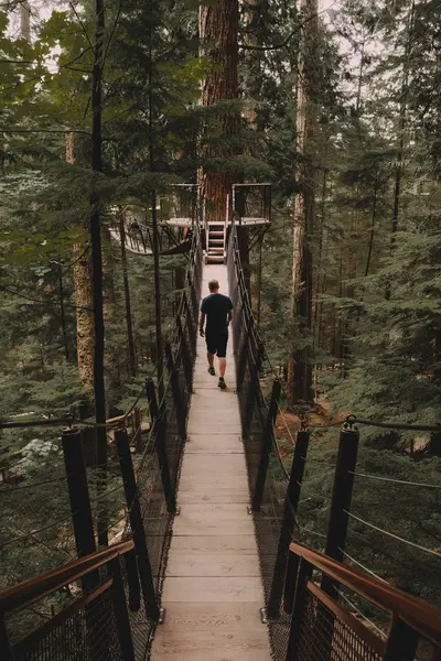Hombre caminando en el puente sobre los árboles — Foto de Stock