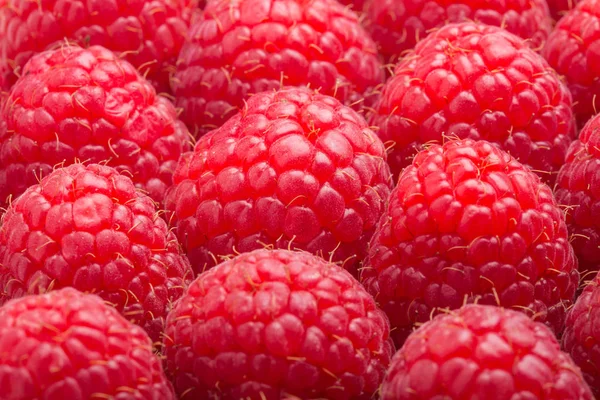 Macro de framboises — Photo