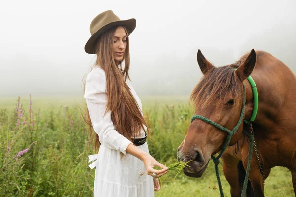 Chica Vestido Blanco Alimentando Caballo Marrón Campo —  Fotos de Stock