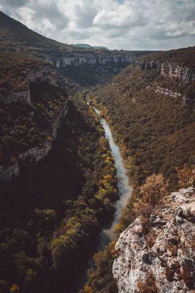 Festői kilátással a fák canyon — Stock Fotó