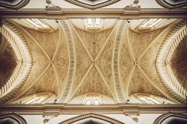 Volledige Frame Shot Van Sierlijke Ornament Van Kathedraal Plafond — Stockfoto