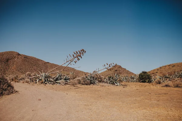 Strada di campagna nel deserto — Foto Stock