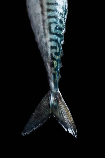 Crop Mackerel Fish Tail Black Background — Stock Photo, Image