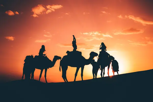 Силуети Каравану Тлі Заходу Сонця Пустелі — стокове фото