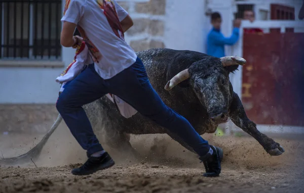 Tereodor läuft von Stier auf Stierkampfsand — Stockfoto
