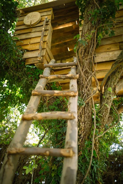 Pohled Zdola Žebřík Vedoucí Treehouse Obklopené Zelení — Stock fotografie