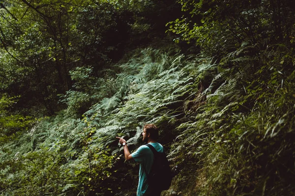 Задний Вид Человека Идущего Лес Указывающего Пальцем Сторону — стоковое фото