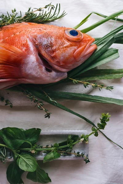 Still Life Raw Red Scorpion Fish Rosemary Thyme White Tablecloth — Stock Photo, Image