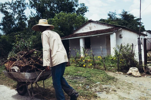 Cuba Août 2016 Vue Arrière Jardinier Poussant Brouette Sur Chemin — Photo