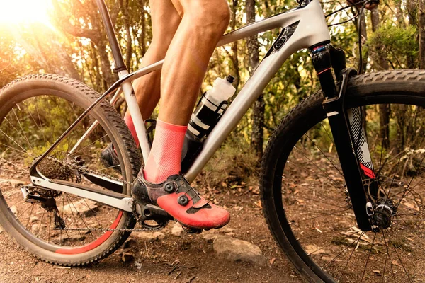 Crop Male Bicycle Pedal Pathway Forest — Stock Photo, Image