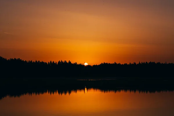 Goldener Abendhimmel Über Bäumen Ufer Des Ruhigen Sees — Stockfoto