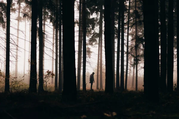 Silhouette Homme Dans Les Bois Sombres Brumeux — Photo