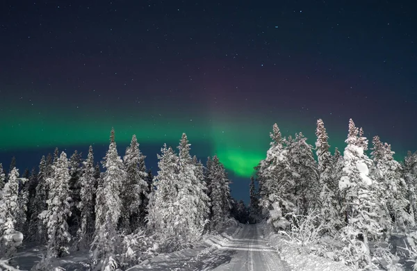 Landschaft Aus Kaltem Winterwald Und Verschneiter Straße Der Nacht Mit — Stockfoto