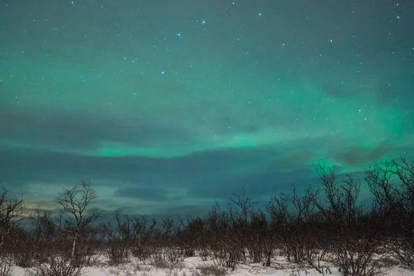 Kuzey Işıkları Gece Kış Woods Üzerinden — Stok fotoğraf