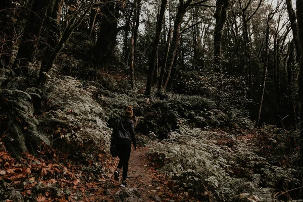 Visão Traseira Mulher Andando Floresta Outono — Fotografia de Stock