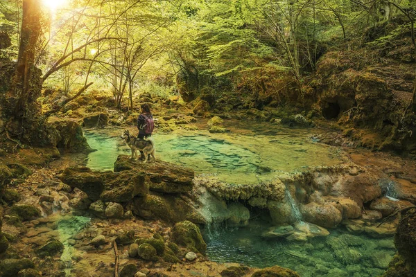 Mulher Turística Irreconhecível Com Cão Posando Pequenas Cascatas Rio Floresta — Fotografia de Stock