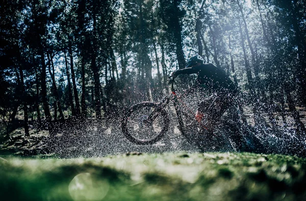 Widok Boku Rowerzystą Skoki Rowerze Górskim Lesie Odrobiny Wody — Zdjęcie stockowe