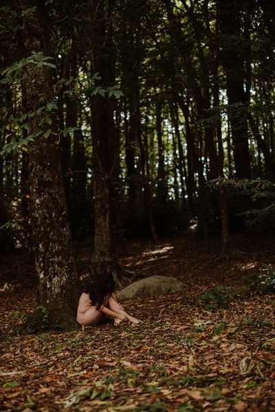 Nudo Sensuale Donna Albero Foresta — Foto Stock