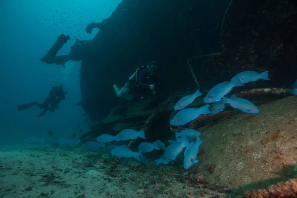 Taucher erkunden Schiffswrack im Ozean — Stockfoto