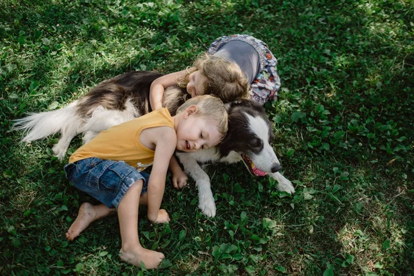 Von Oben Entzückende Kinder Liegen Und Umarmen Fleck Flauschigen Hund — Stockfoto