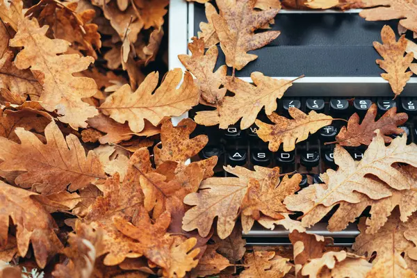 Zbliżenie Zabytkowej Maszyny Pisania Pokrytej Liśćmi Dębu Jesienią — Zdjęcie stockowe