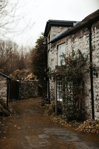 Grande Maison Ancienne Entourée Plantes Sèches Dans Jardin — Photo