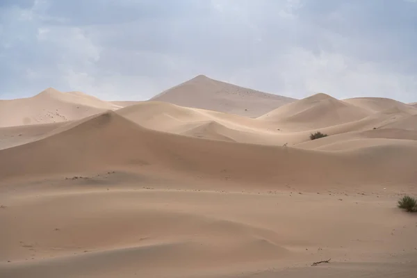 Paysage Pittoresque Grandes Dunes Sable Dans Désert Sans Fin Arabie — Photo