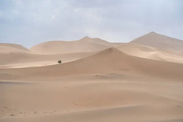 사우디아라비아의 끝없는 사막에 자리잡고 언덕의 그림같은 — 스톡 사진
