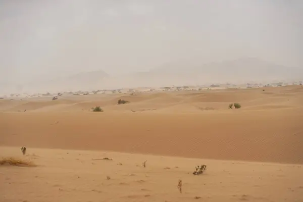 Picturesque Scenery Great Gritty Dunes Endless Desert Saudi Arabia — Stock Photo, Image