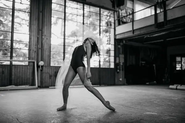 Dramática Bailarina Femenina Body Negro Realizando Sensual Danza Con Tul —  Fotos de Stock