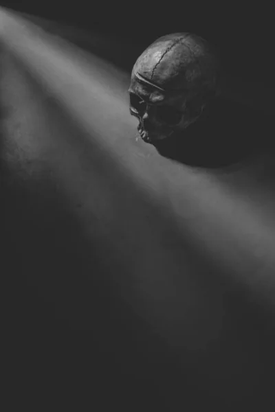 Yukarıdan Siyah Beyaz Kadim Insan Kafatası Karanlık Odada Güneş Işığı — Stok fotoğraf