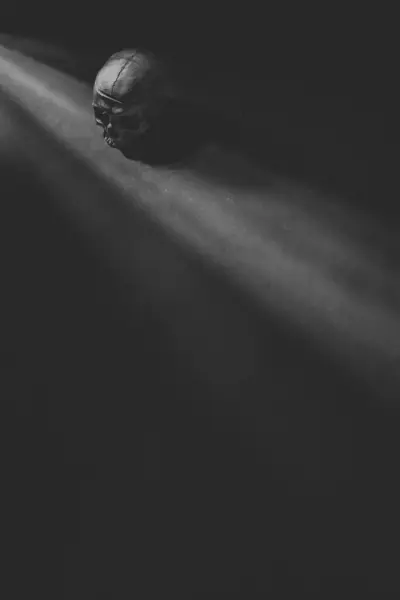 Góry Czarno Biała Starożytna Ludzka Czaszka Umieszczona Blisko Promieni Słońca — Zdjęcie stockowe