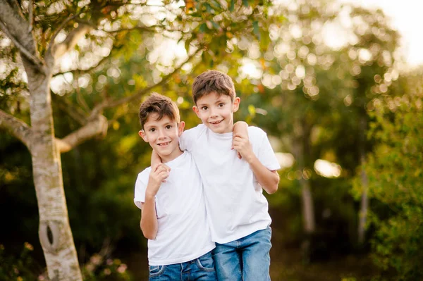 Meninos Gêmeos Felizes Abraçando Olhando Para Câmera Parque — Fotografia de Stock