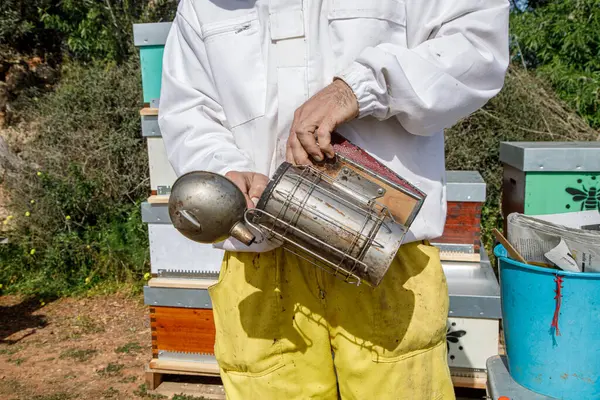 Detailní Záběr Anonymního Včelaře Samčího Pohlaví Včelí Kuřák Při Práci — Stock fotografie