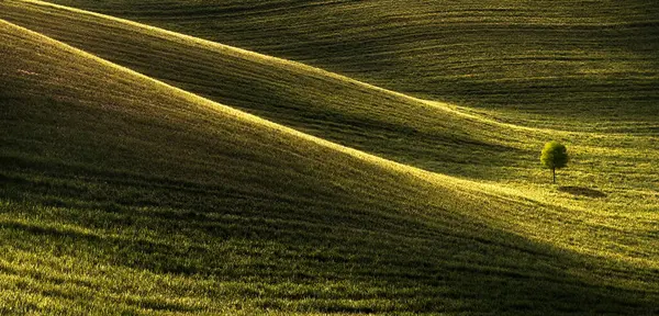 Weitwinkel Natürliche Landschaft Von Hügeligem Gelände Mit Grünem Gras Und — Stockfoto